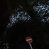 mentallylost04