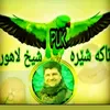 safahawlery2