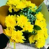 roza55555_
