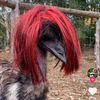 wigsnatcher225