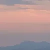 gullersemelie