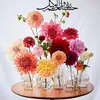 mujtabasattar2