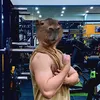 binbinvuitinh
