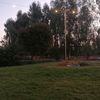 prqalfta0