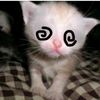 sitinhk0sida
