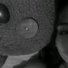 ale_fp12