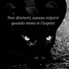 francescoabbruzzese1