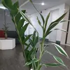 senda06_4
