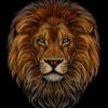 average_leo95