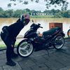 berehhbos3