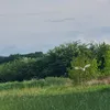 ajdowbor