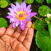 seuwa23