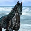 alkhayall0