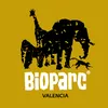 bioparcvalencia