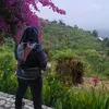 lembayung664
