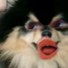 call_mygf
