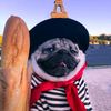 .george001