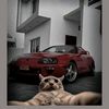 supra0963