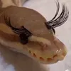 pietra_pitaya