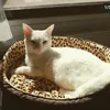 _kissakuiskaaja_