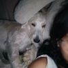 whs.jenn_jenn