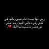 19 | August ☆•`
