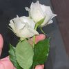 fawadkhalil7777
