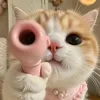 heyelleee_