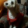 sope_226