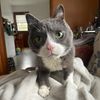 rickysmom30