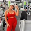 @carolsparremberger