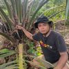 BANG AGAT