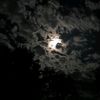 88hr_1