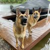 gsdandhikingfun