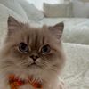mew__d