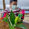 jang_htr29