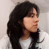 fer09alviargw