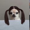 realbobsagett