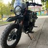 vlad_2453