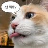 cosas_que_pienso3