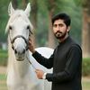 waseemjani734