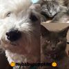 mybabypumpkins