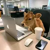 deenek8