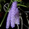 vungcaonguyen_47
