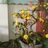 thinguyen1908