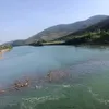 phuongnhi_410