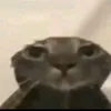 ferchu.ezequiel