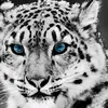 user641203_