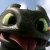 hnnh.frstr