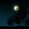 abu_rajab_98